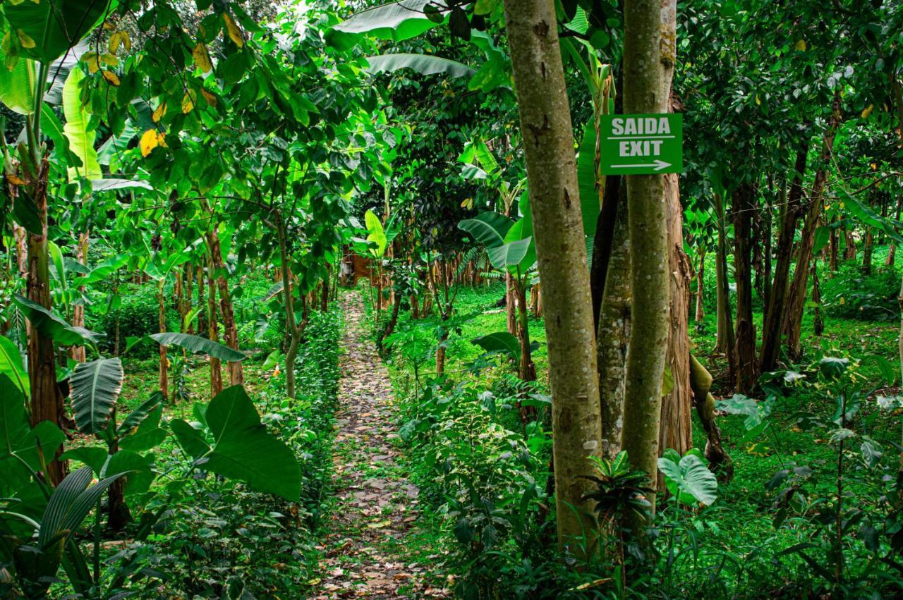 Eco-Por Villa Rio do Ouro Bagian luar foto
