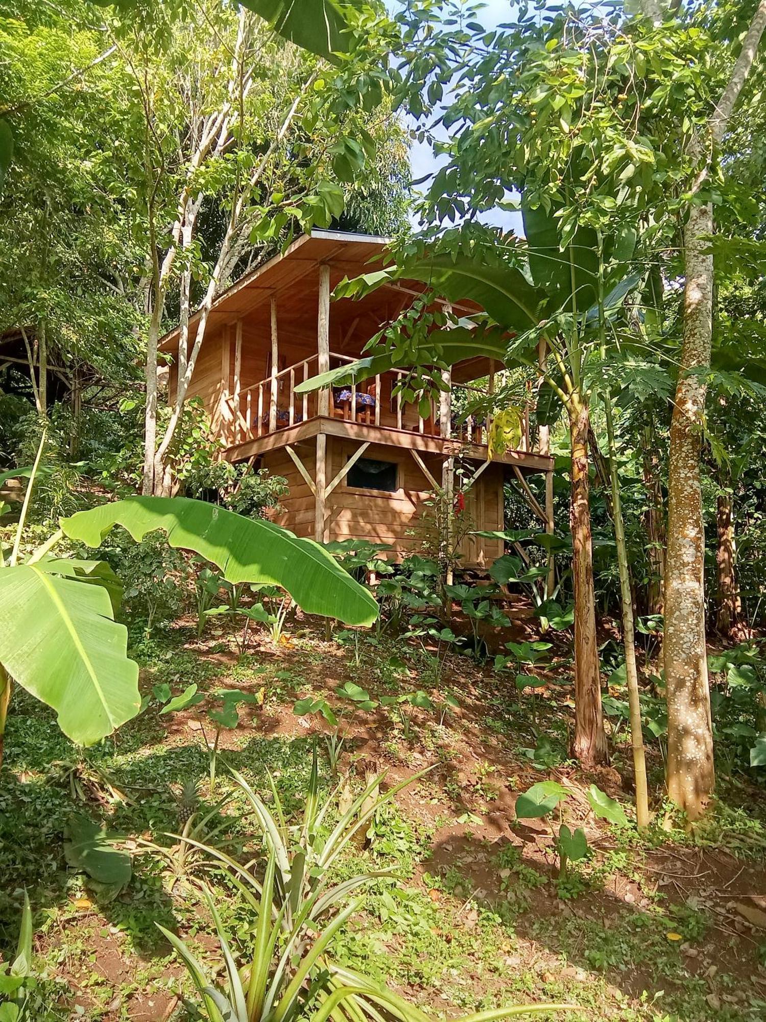 Eco-Por Villa Rio do Ouro Bagian luar foto